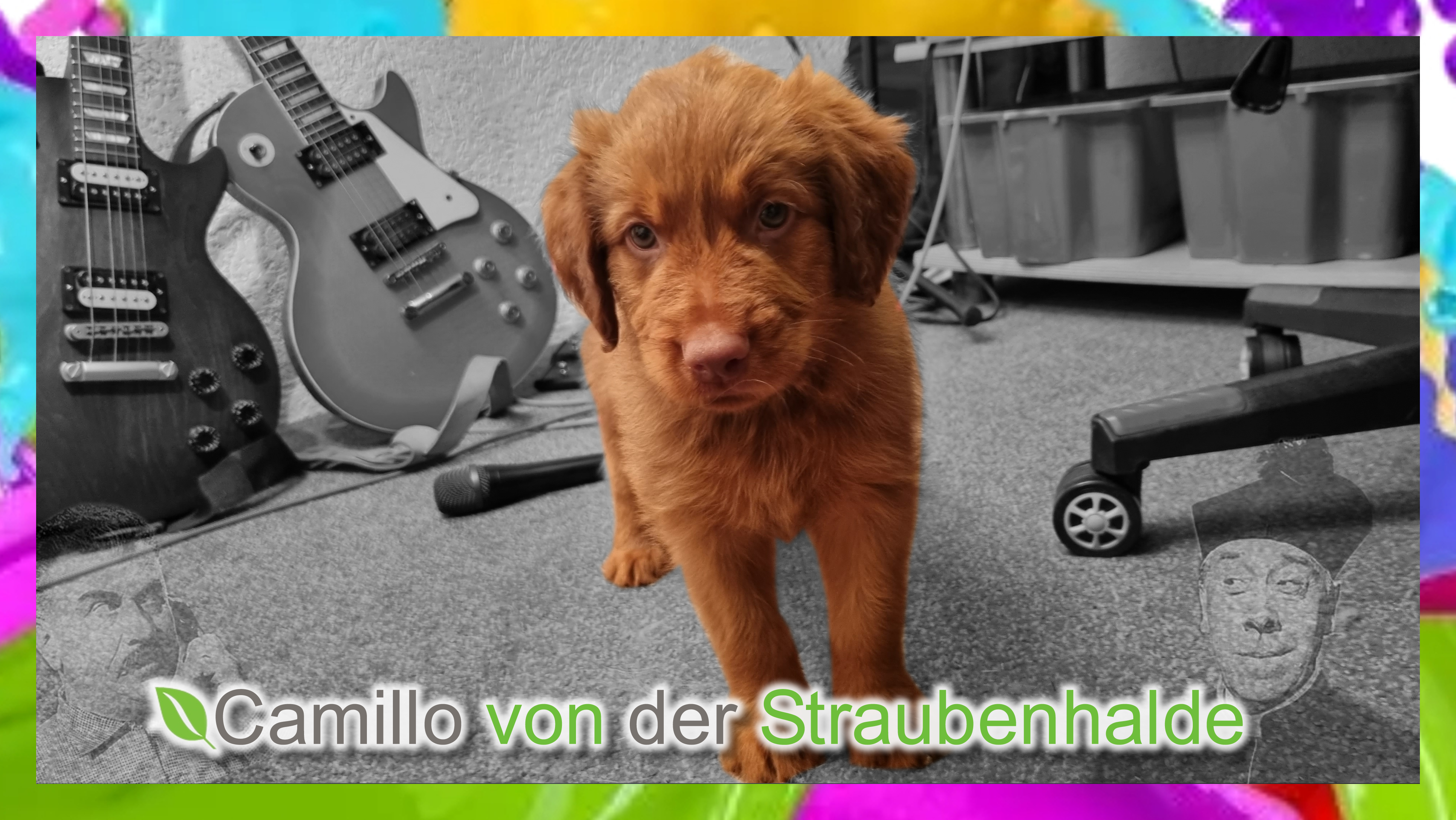 Wäller von der Straubenhalde